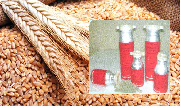 Aluminium phosphide gas providing